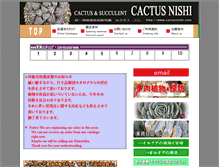 Tablet Screenshot of cactusnishi.com